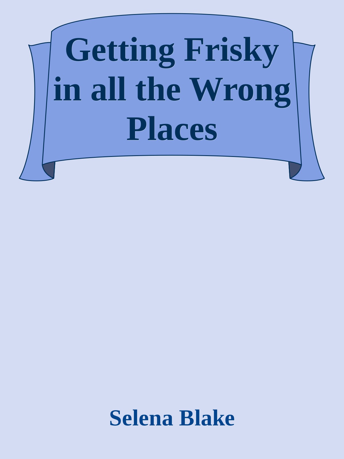 Getting Frisky In All The Wrong Places 3 Book Box Set 1st Selena Blake