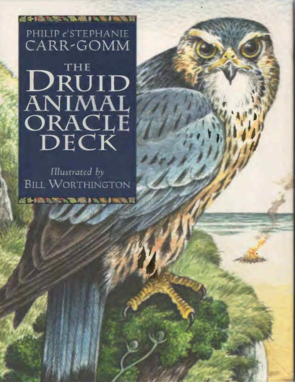 The Druid Animal Oracle Deck Philip Carrgomm Author Stephanie Carrgomm Author