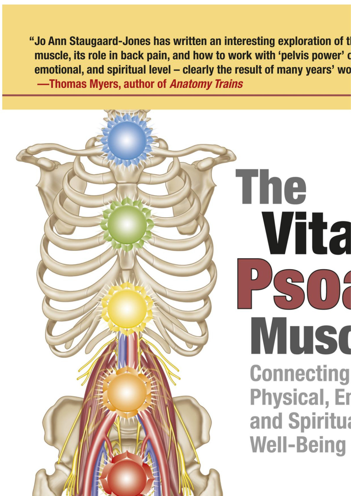 The Vital Psoas Muscle Jo Ann Staugaardjones