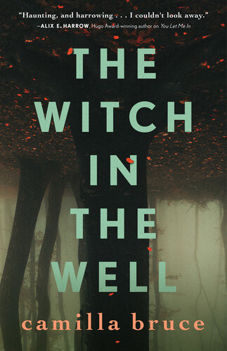 The Witch In The Well Camilla Bruce