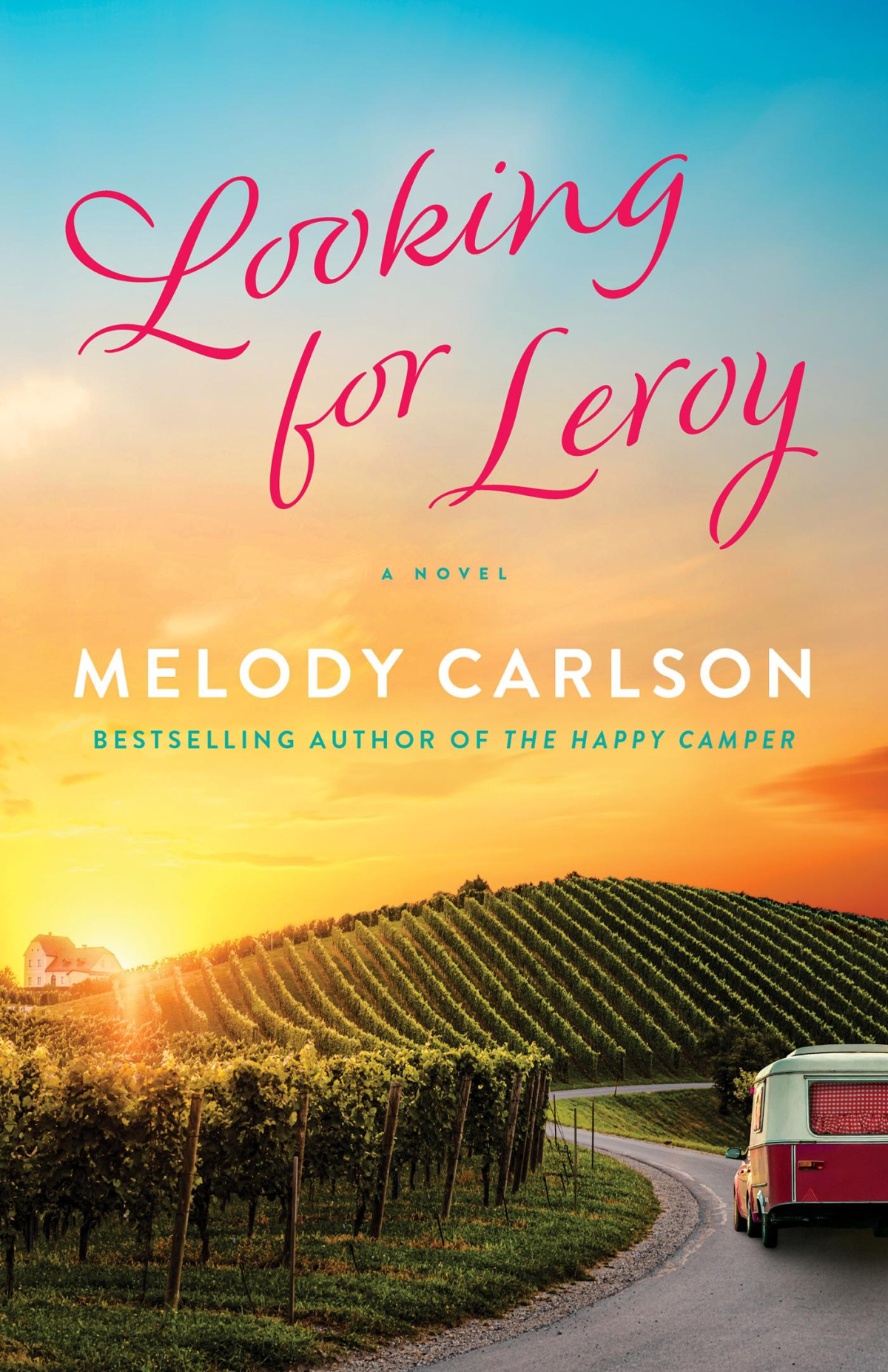Looking For Leroy Melody Carlson