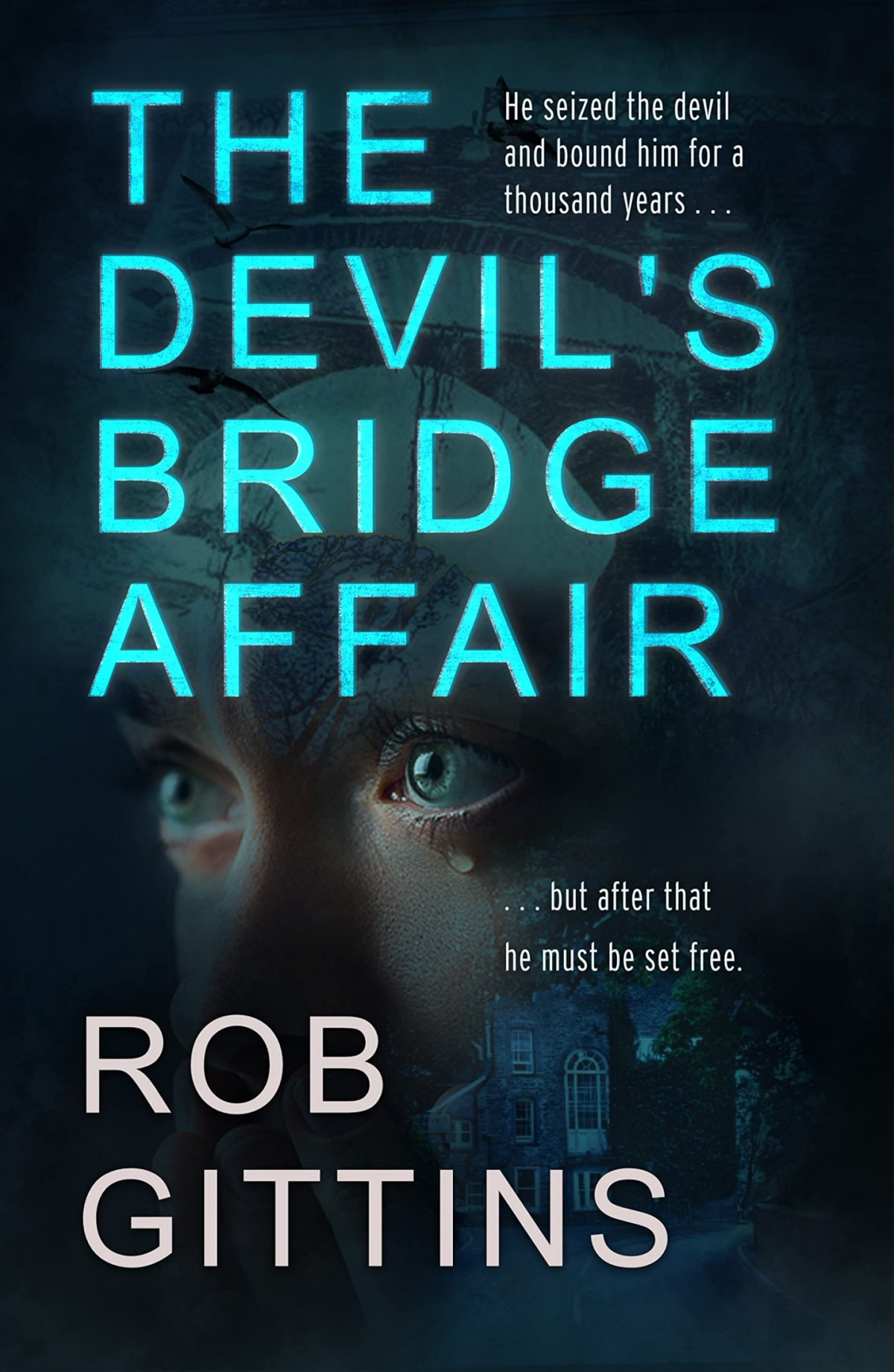 The Devils Bridge Affair Rob Gittins