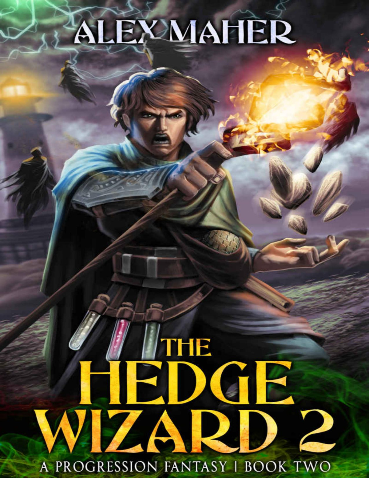 The Hedge Wizard 2 A Litrpggamelit Adventure Alex Maher