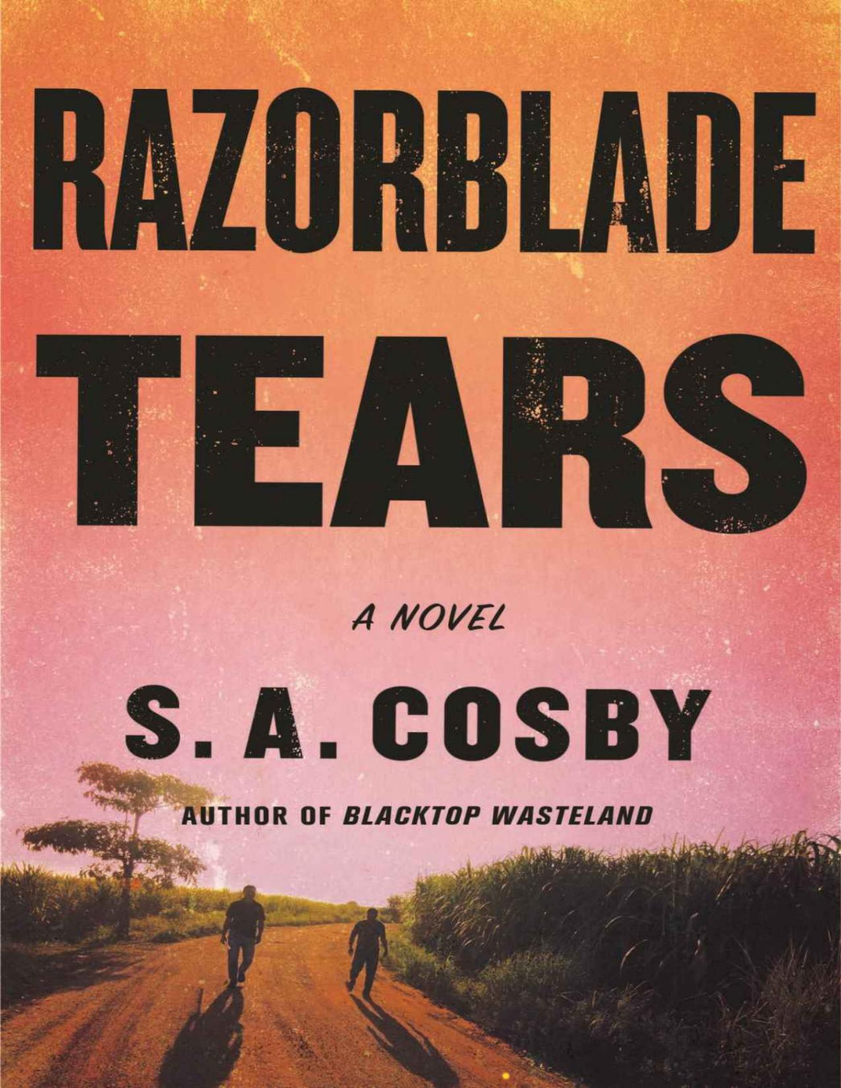 Razorblade Tears A Novel S A Cosby