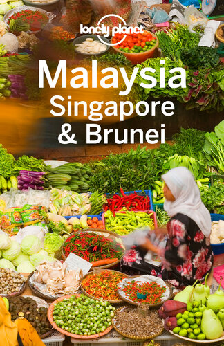 Malaysia Singapore Brunei Lonely Planet