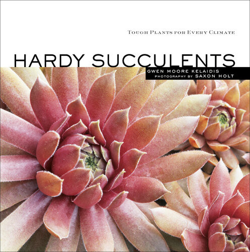 Hardy Succulents Tough Plants For Every Climate Gwen Kelaidis Saxon Holt