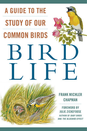 Bird Life A Guide To The Study Of Our Common Birds Frank M Chapman Julie Zickefoose