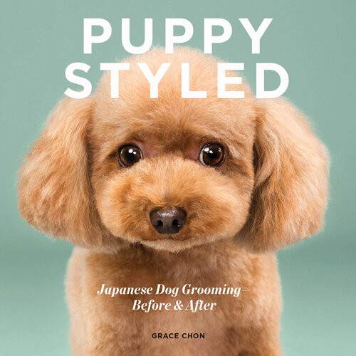 Puppy Styled Japanese Dog Grooming Before After Grace Chon