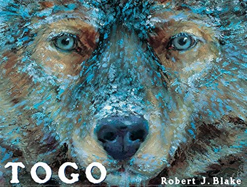 Togo Robert J Blake
