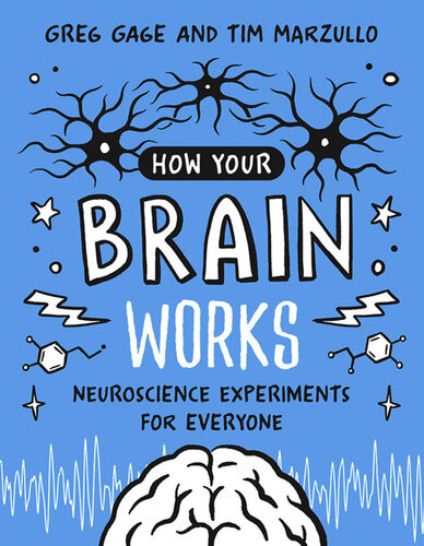 How Your Brain Works Neuroscience Experiments For Everyone Greg Gage Tim Marzullo