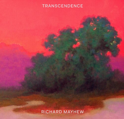 Transcendence Richard Mayhew