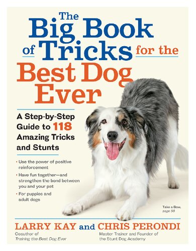 Tricks And Stunts For The Best Dog Ever Larry Kay Chris Perondi