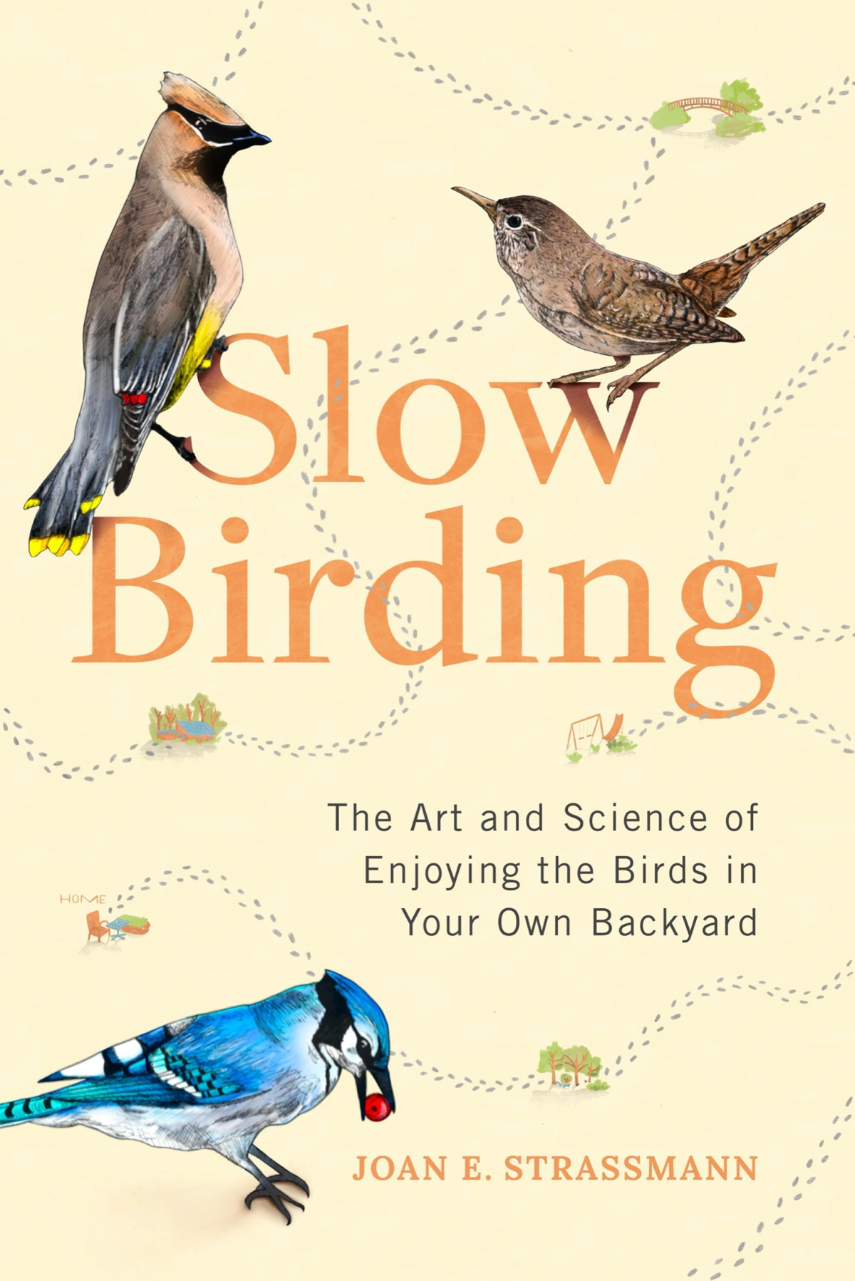 Slow Birding The Art And Science Of Enjoying The Birds In Your Own Backyard Joan E Strassmann
