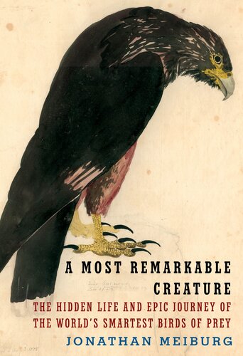 A Most Remarkable Creature The Hidden Life Of The Worlds Smartest Birds Of Prey Caracaras 1st Edition Jonathan Meiburg