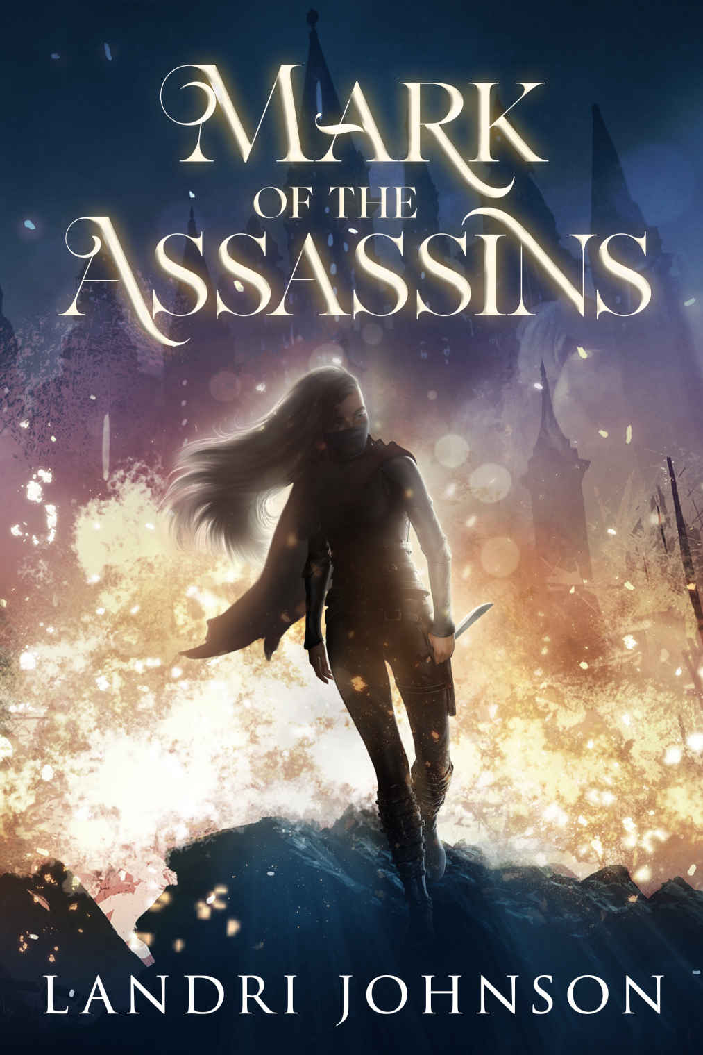 Mark Of The Assassins A Coming Of Age Fantasy Landri Johnson
