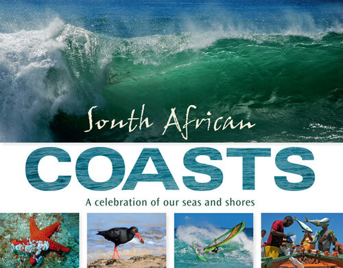 South African Coasts A Celebration Of Our Seas And Shores Sylvia Earle