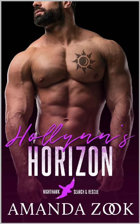 Hollynns Horizon Nighthawk Search And Rescue 5 Amanda Zook