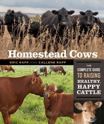 Homestead Cows The Complete Guide To Raising Healthy Happy Cattle Callene Rapp