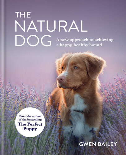 The Natural Dog A New Approach To Achieving A Happy Healthy Hound Gwen Bailey