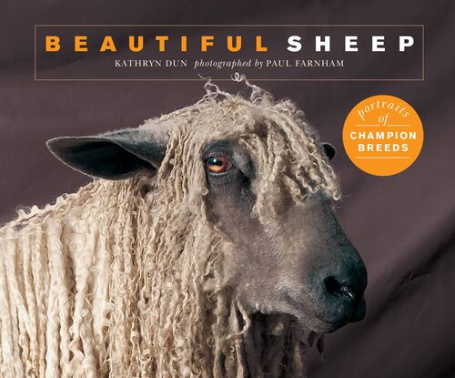 Beautiful Pigs Portraits Of Champion Breeds Andy Case