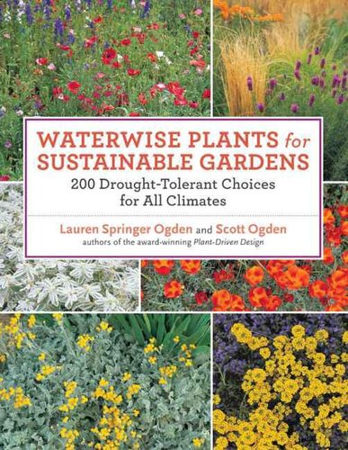 Waterwise Plants For Sustainable Gardens 200 Droughttolerant Choices For All Climates Lauren Springer Ogden Scott Ogden