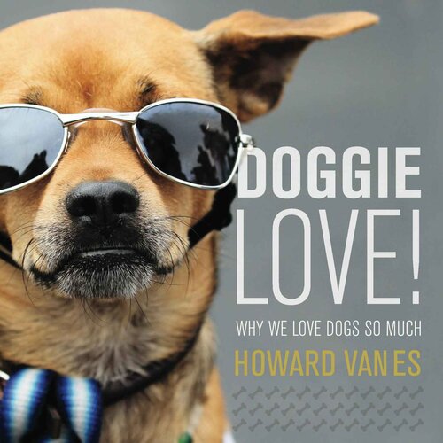 Doggie Love Why We Love Dogs So Much Howard Vanes