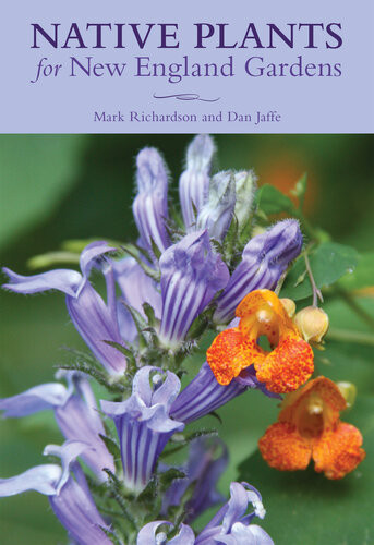 Native Plants For New England Gardens Mark Richardson
