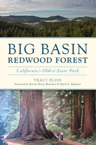 Big Basin Redwood Forest Californias Oldest State Park Traci Bliss