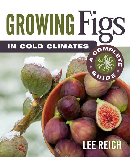 Growing Figs In Cold Climates A Complete Guide Lee Reich