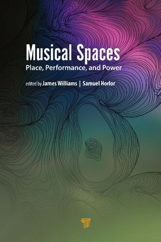 Musical Spaces Place Performance And Power 1st Edition James Williams Editor