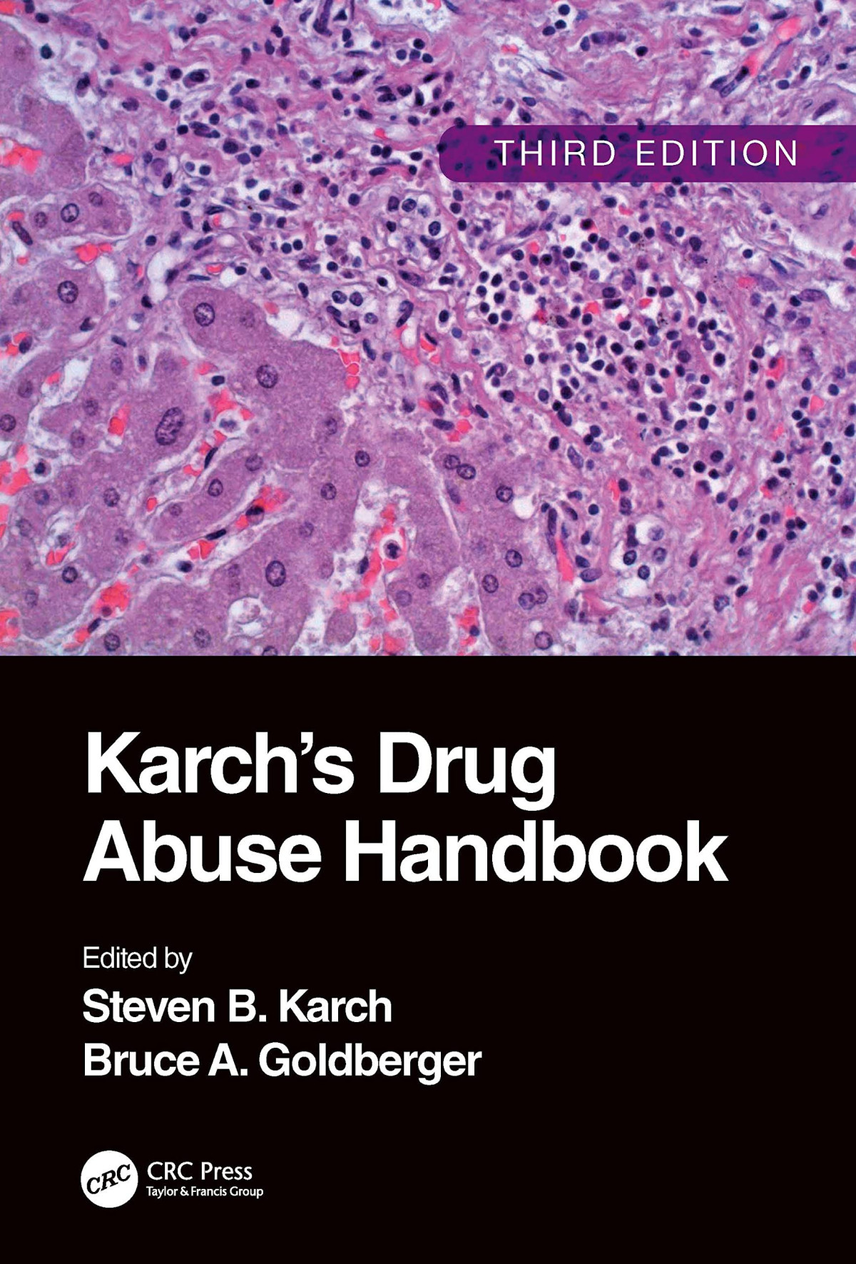 Karchs Drug Abuse Handbook 3rd Edition Steven Karch Bruce A Goldberger