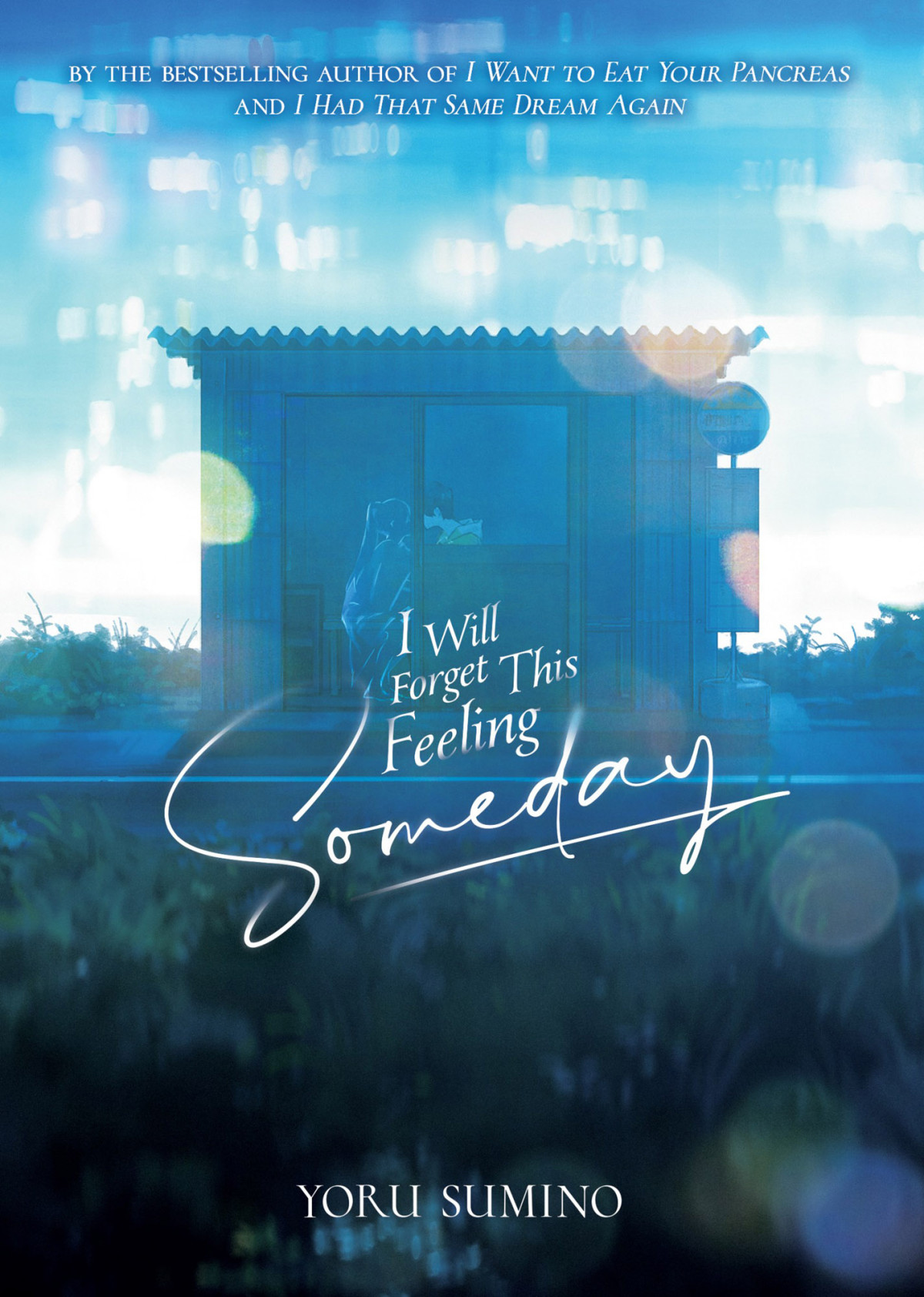 I Will Forget This Feeling Someday Yoru Sumino