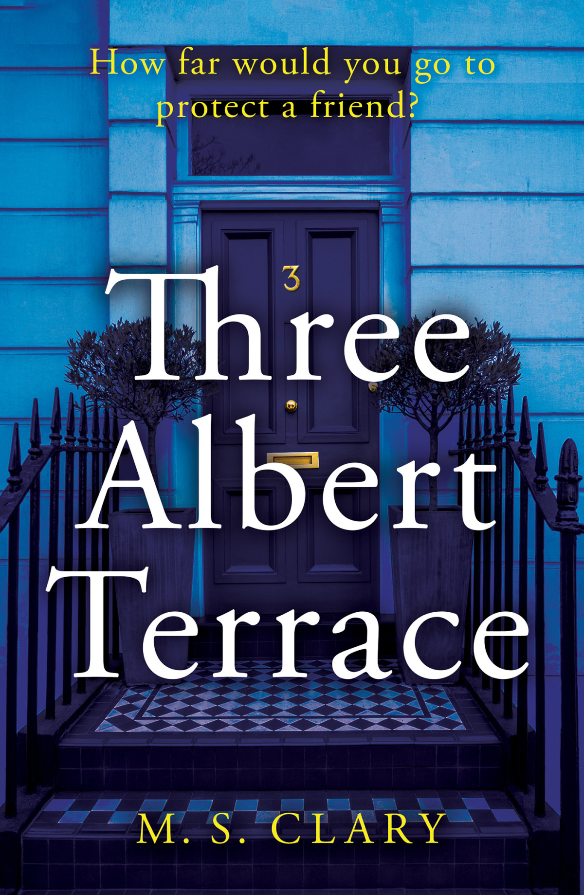 Three Albert Terrace M S Clary