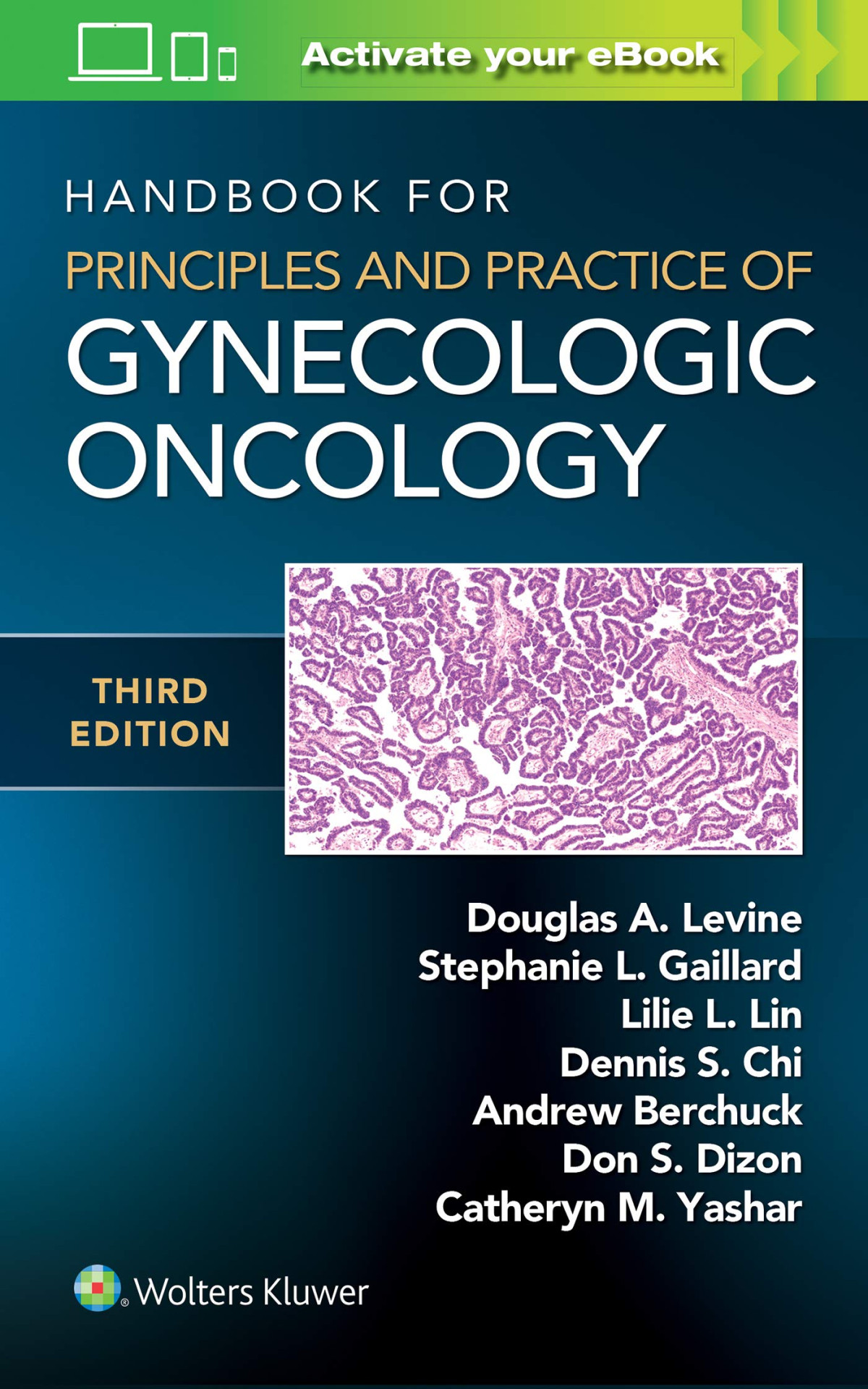 Handbook For Principles And Practice Of Gynecologic Oncology 3rd Edition Douglas A Levine
