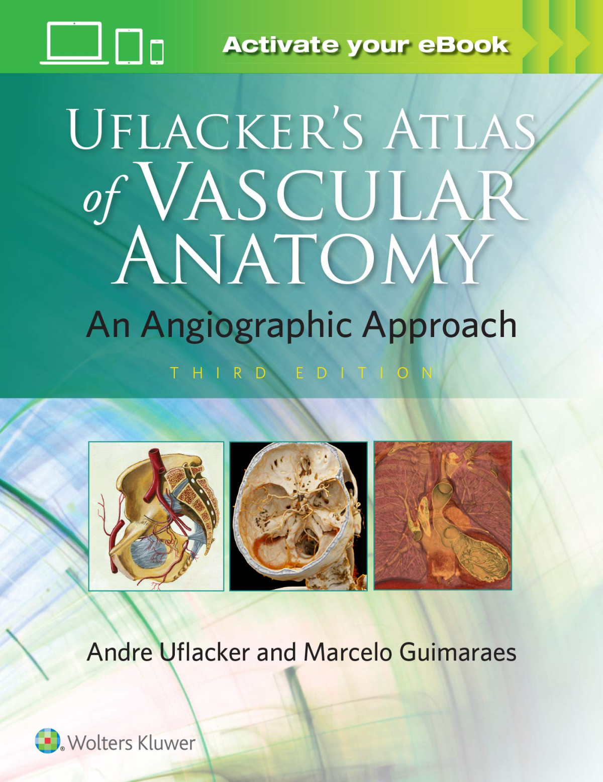 Uflackers Atlas Of Vascular Anatomy 3rd Edition Marcelo Guimaraes