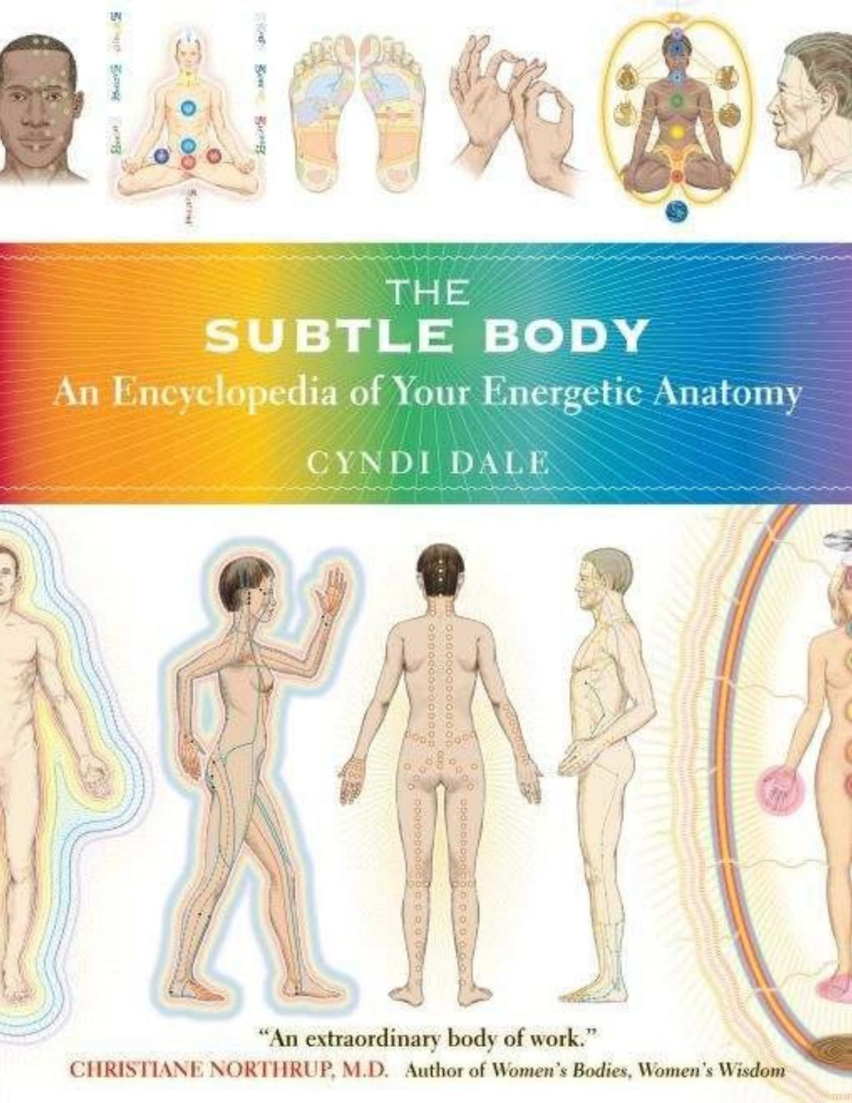 The Subtle Body An Encyclopedia Of Your Energetic Anatomy Cyndi Dale