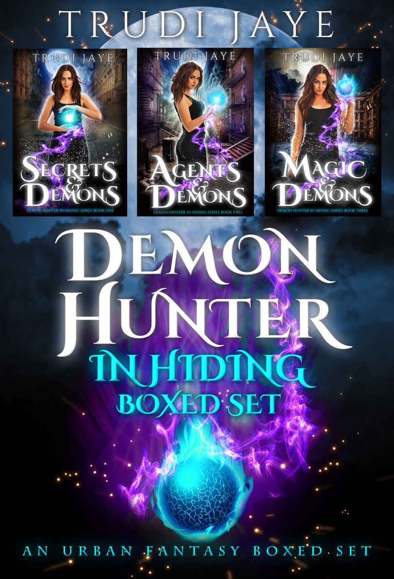Demon Hunter In Hiding Boxed Set Books 13 Jaye Trudi