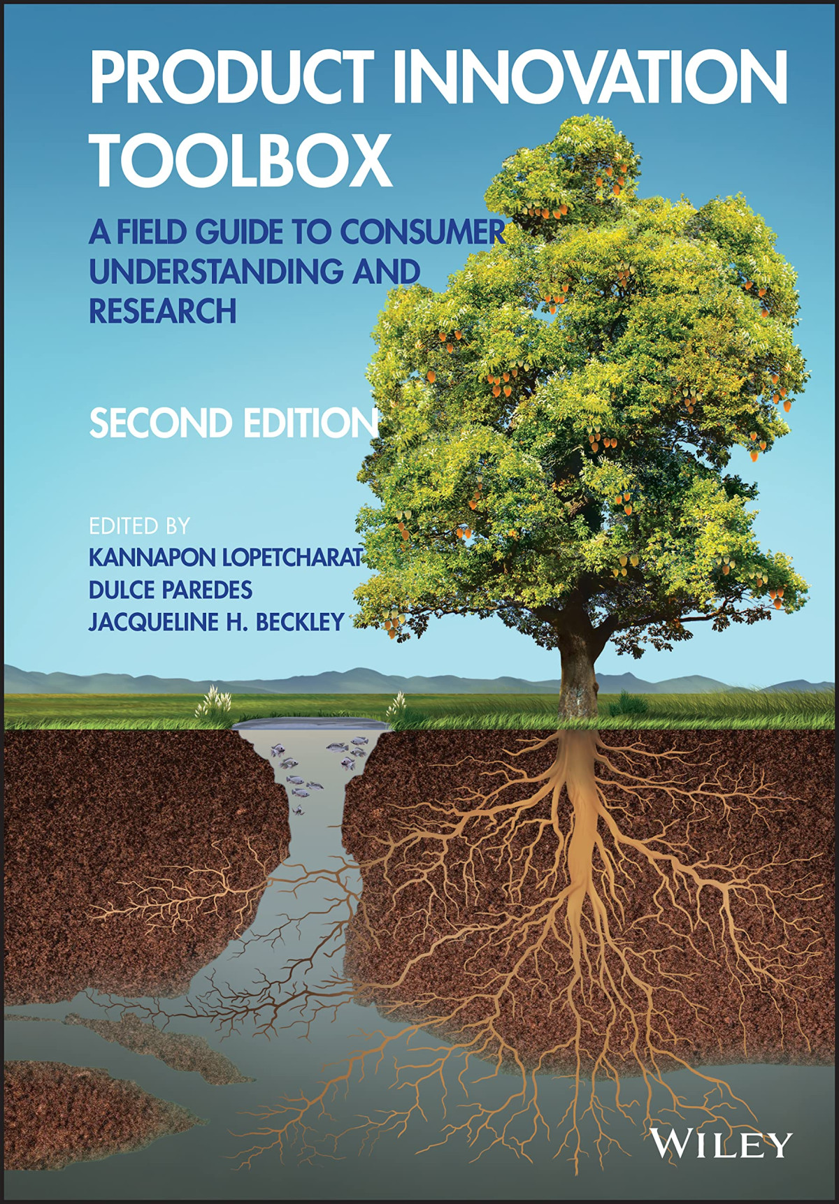 Product Innovation Toolbox A Field Guide To Consumer Understanding And Research Dulce Paredes