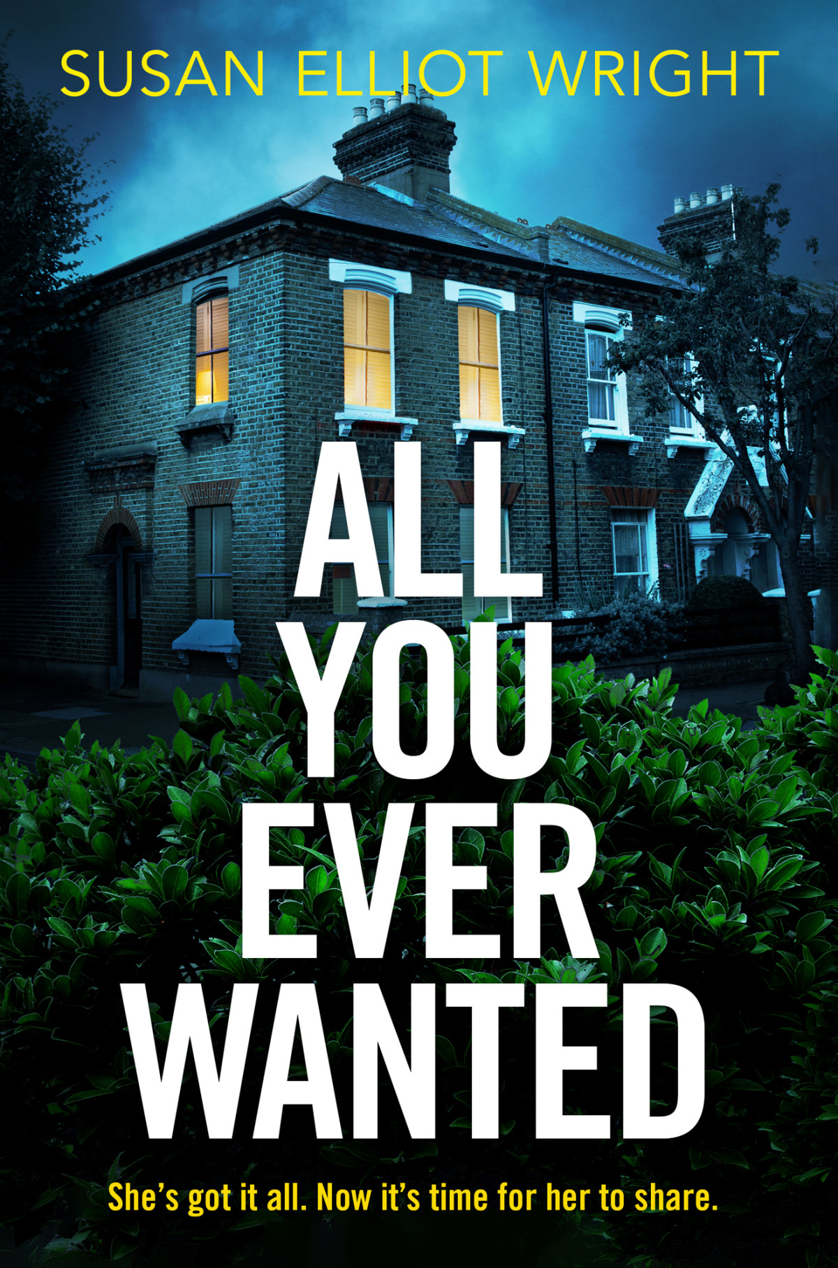 All You Ever Wanted Susan Elliot Wright