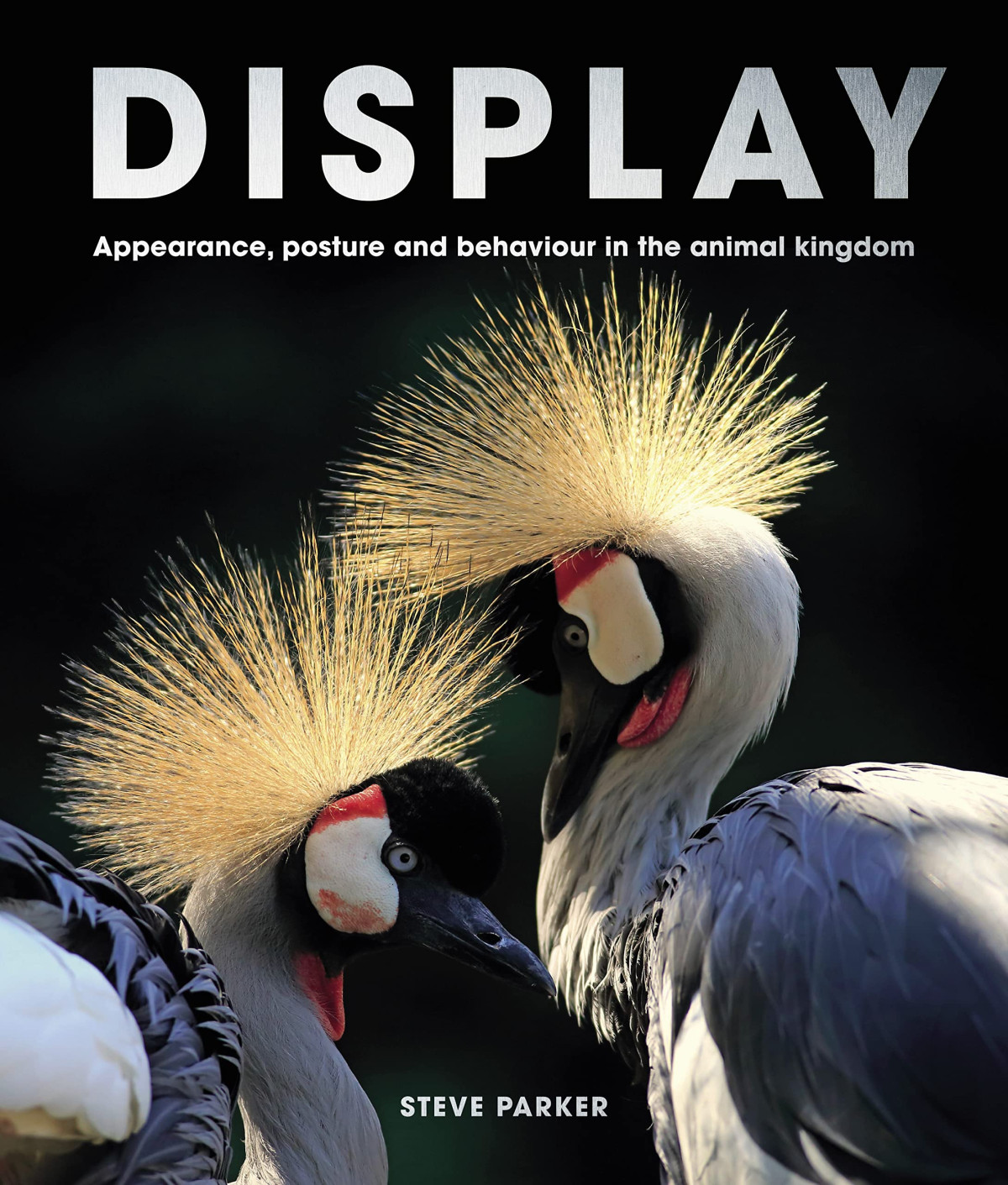 Display Appearance Posture And Behaviour In The Animal Kingdom Steve Parker