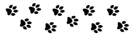 The Beary Possessive Grizzly Bear Clan 5 Jenika Snow