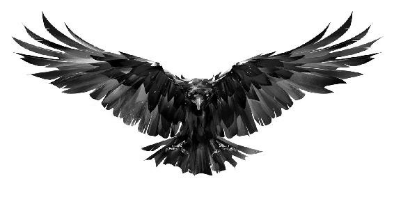 Blackbirds Fall Jenika Snow