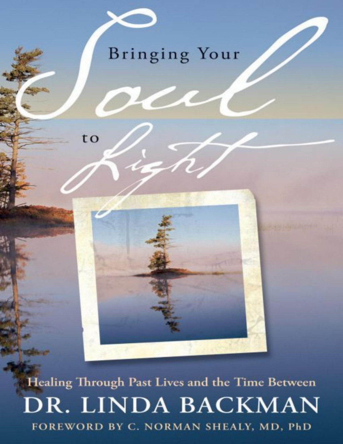 Bringing Your Soul To Light Healing Through Past Lives And The Time Between Dr Linda Backman