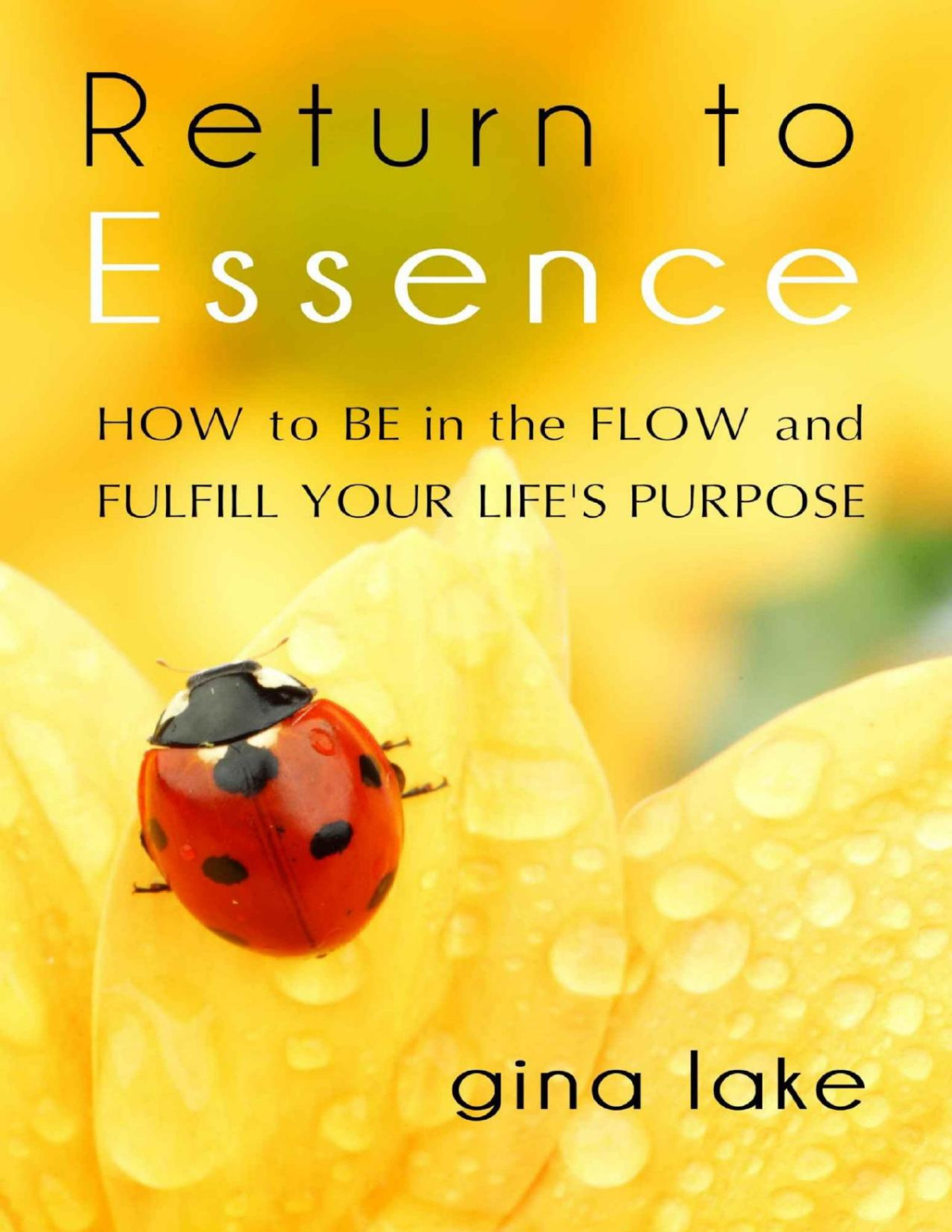 Return To Essence How To Be In The Flow And Fulfill Your Lifes Purpose Gina Lake