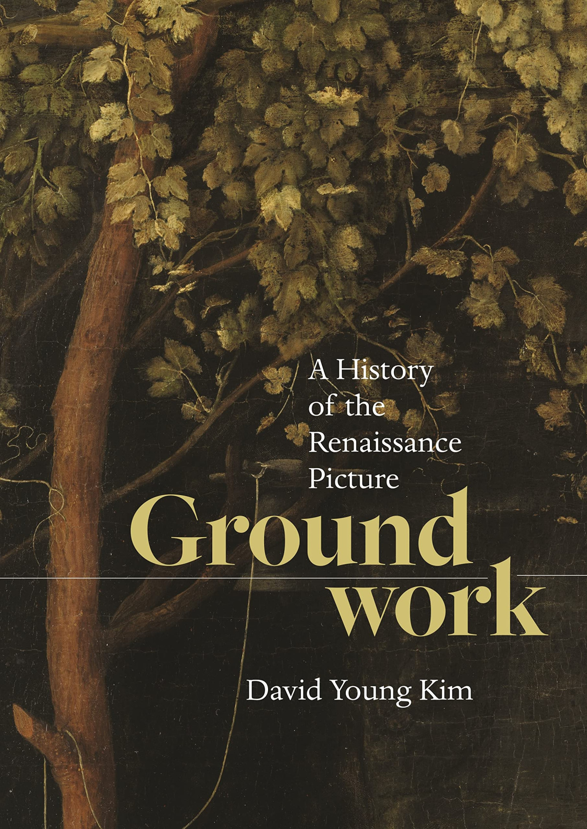 Groundwork A History Of The Renaissance Picture David Young Kim