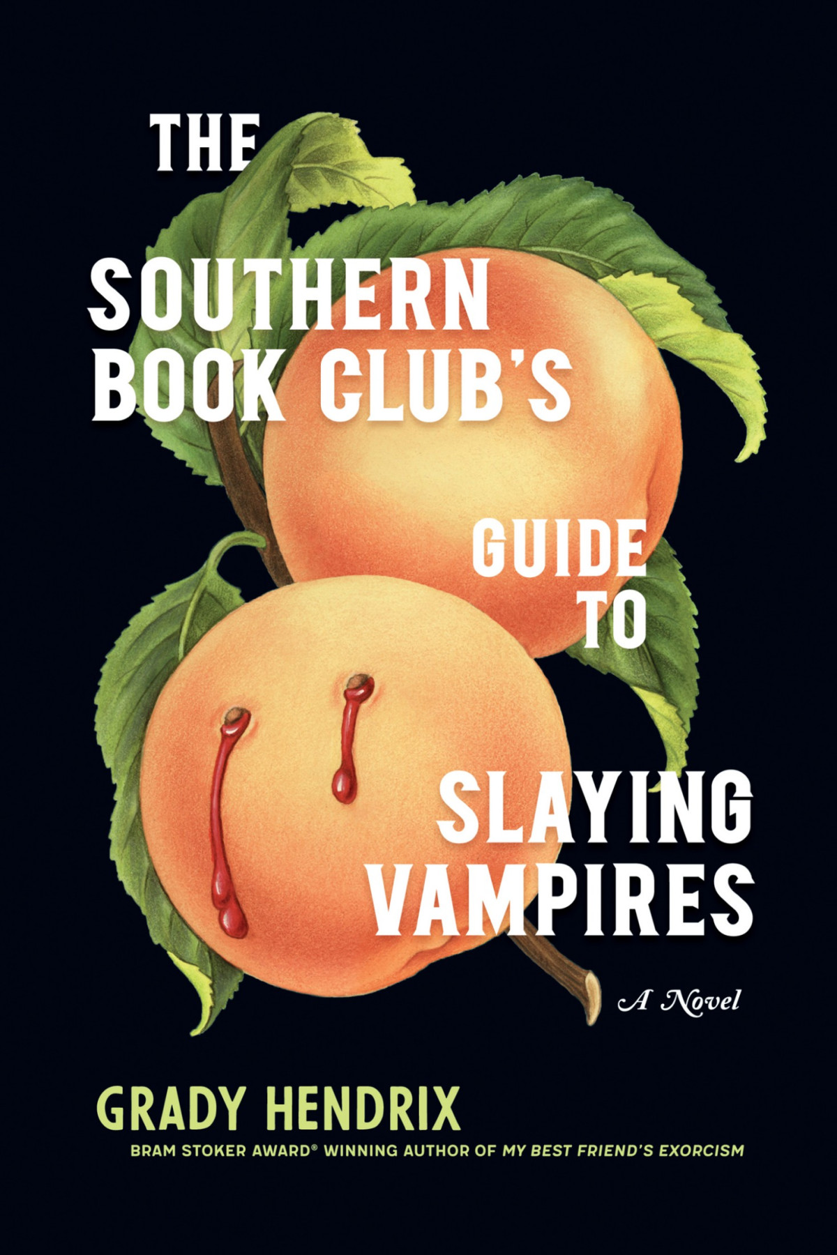 The Southern Book Clubs Guide To Slaying Vampires A Novel Grady Hendrix