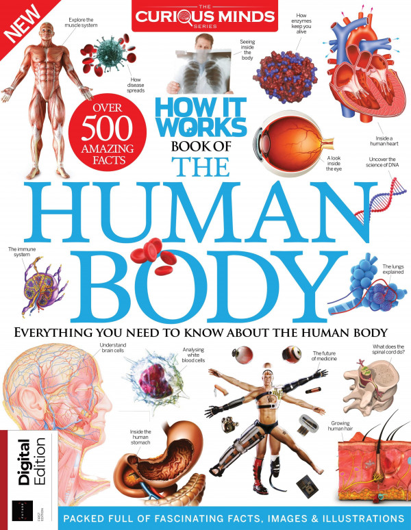 How It Works Book Of The Human Body The Curious Mind Series
