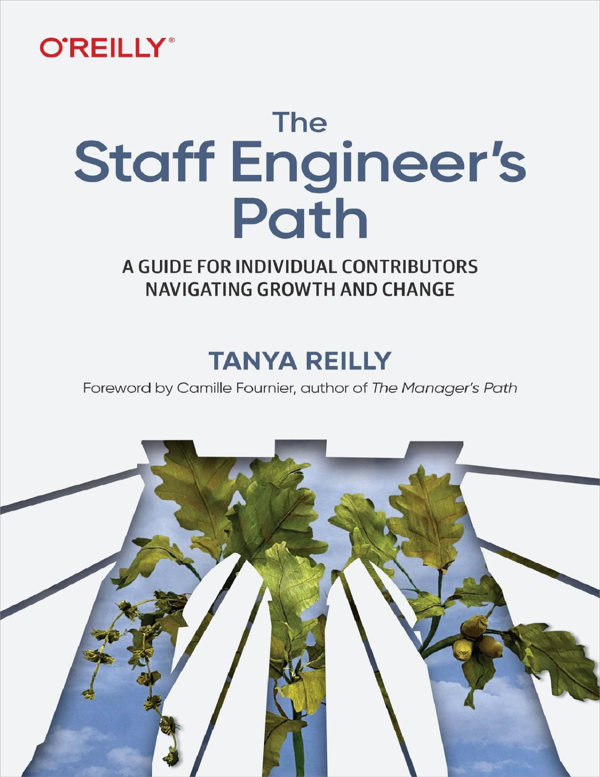 The Staff Engineers Path A Guide For Individual Contributors Navigating Growth And Change Converted Tanya Reilly