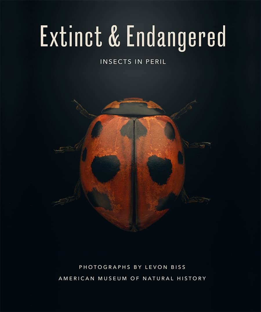 Extinct Endangered Insects In Peril American Museum Of Natural History