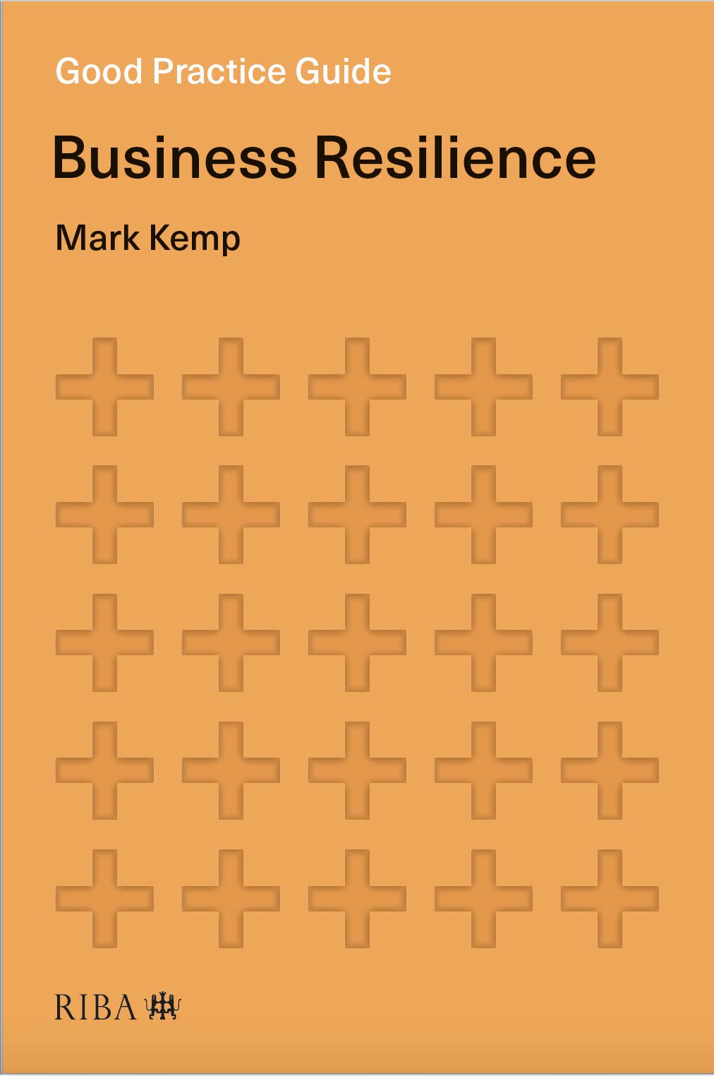 Good Practice Guide Business Resilience 1st Edition Mark Kemp